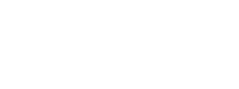 Dawini dz